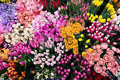 Curve Game发行新作《模型制作世界》公布首支中文预告片